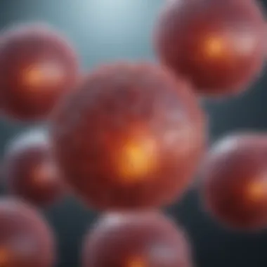 Lipid Bilayer Structure and Its Role in Membrane Integrity Illustration of lipid bilayer structure