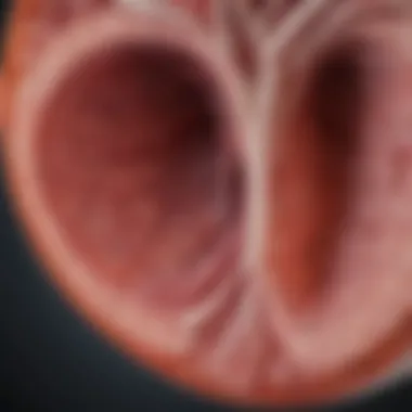 Overview of Kidney Function Illustration depicting kidney function