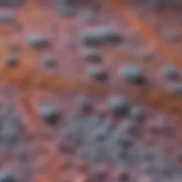Microscopic view of multicystic mesothelioma tissue sample