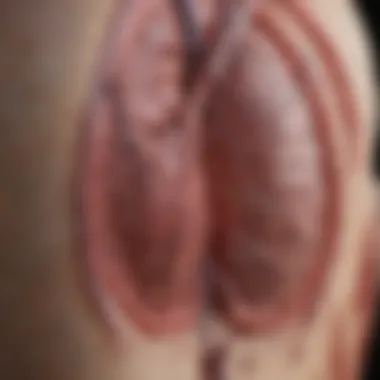 Coronary Angiography: A Key Diagnostic Tool Coronary angiography procedure overview
