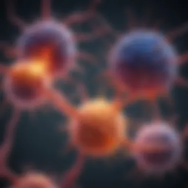 Differentiation Pathways of Neural Progenitor Cells Illustration depicting the differentiation pathways of neural progenitor cells