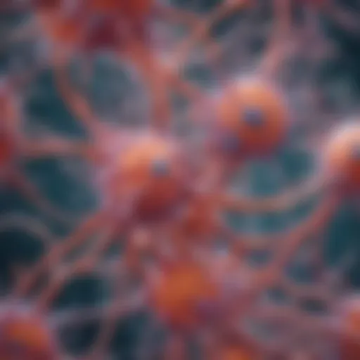 Microscopic view of neural progenitor cells in culture