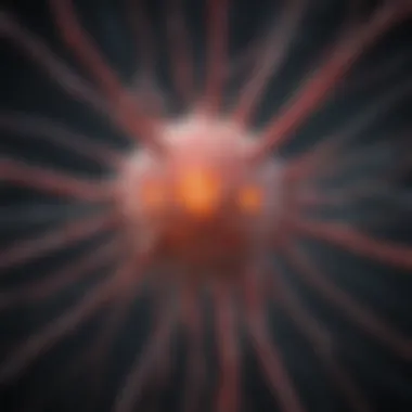 Neural Pathways of Itching Neural pathways involved in itching sensations