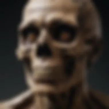 Fossilized Ancestor Remains Fossilized remains of a significant ancestor species