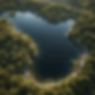 Ecological Significance of Lakes Aerial view of a lake and surrounding landscape, emphasizing ecological significance.