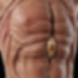 Diagram illustrating potassium's role in muscle function