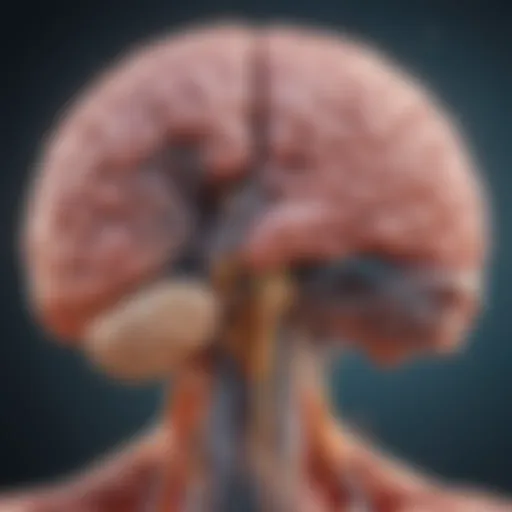 Detailed diagram illustrating the mechanisms of brain metastases.