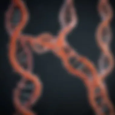 RNA Sequence Design Principles Visual representation of RNA sequence design principles