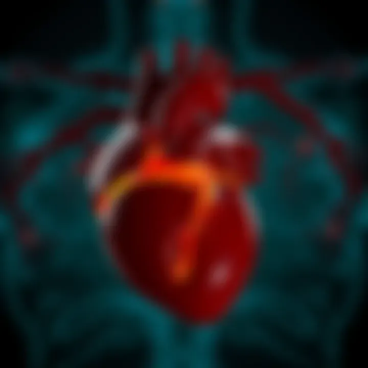 Stages of Tricuspid Regurgitation: A Detailed Exploration Summary