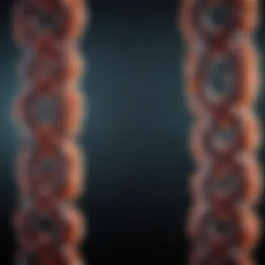 Understanding Telomeres and Their Role in Aging Visual representation of telomeres at the end of chromosomes