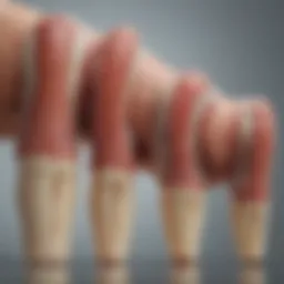 Diagram illustrating the progression of osteoarthritis