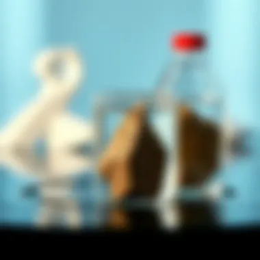 The Dynamics of Purified Water with Minerals Summary The Dynamics of Purified Water with Minerals Summary