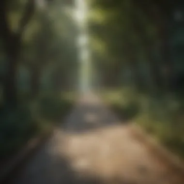 A pathway leading towards innovative mental health solutions