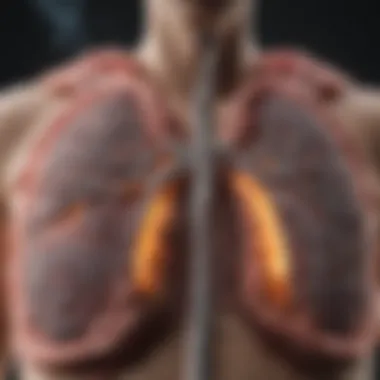 Lung Cancer Progression Related to Smoking Diagram illustrating the progression of lung cancer due to smoking