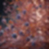 Diverse gut bacteria in a healthy microbiome