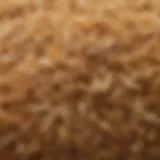 Close-up view of rice husk showcasing its fibrous texture and color