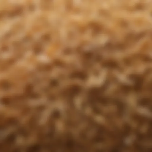 Close-up view of rice husk showcasing its fibrous texture and color