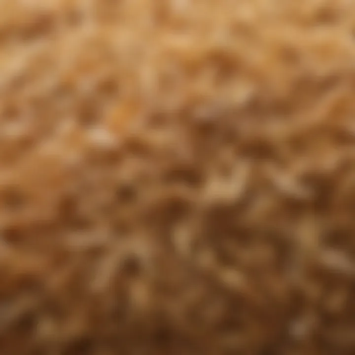 Close-up view of rice husk showcasing its fibrous texture and color