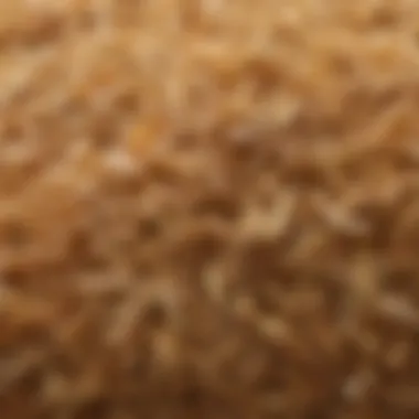 Textural Characteristics of Rice Husk Close-up view of rice husk showcasing its fibrous texture and color