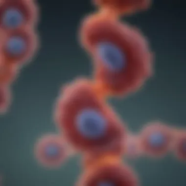 CENPB's engagement with chromatin during cell division CENPB interaction with chromatin