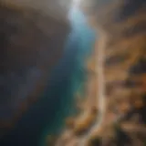 Aerial view of diverse ecosystems showcasing the interplay of geology and ecology.