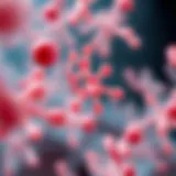 The Role of Lactobacillus in UTI Management: A Perspective on Antibiotics Introduction
