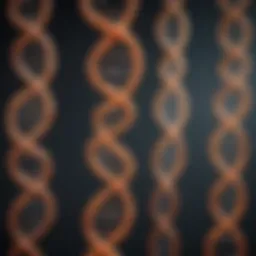Representation of mitochondrial DNA structure