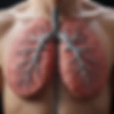 Detailed examination of lung imaging