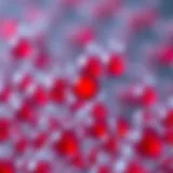 Ultracomp Ebeads: A Comprehensive Exploration Introduction