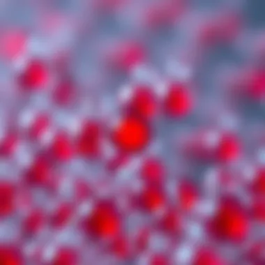 Ultracomp Ebeads: A Comprehensive Exploration Introduction Ultracomp Ebeads: A Comprehensive Exploration Introduction