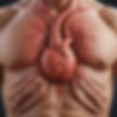 Myocardial Dysfunction in Acute Cardiomyopathy Illustration of myocardial dysfunction in acute cardiomyopathy