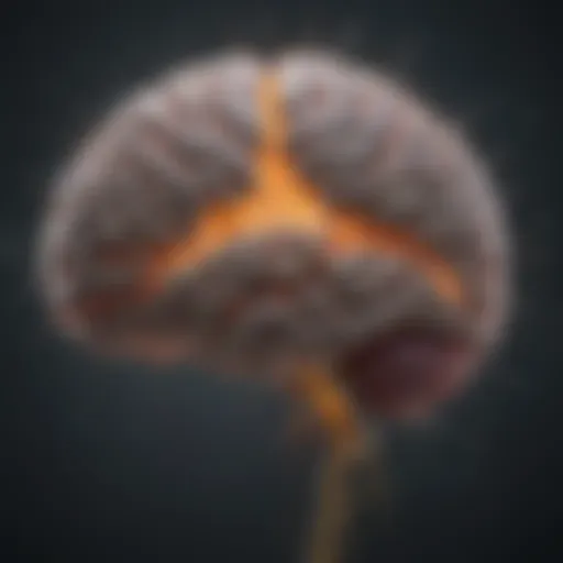 Illustration of a brain with neural pathways lighting up, symbolizing trauma impact