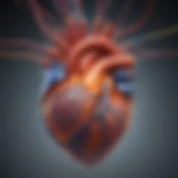 A diagram illustrating the electrical pathways of the heart
