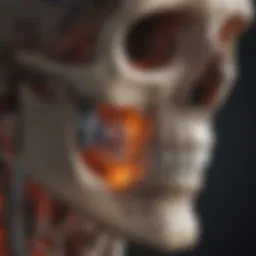 Illustration depicting the anatomy of the skull highlighting bone conduction pathways