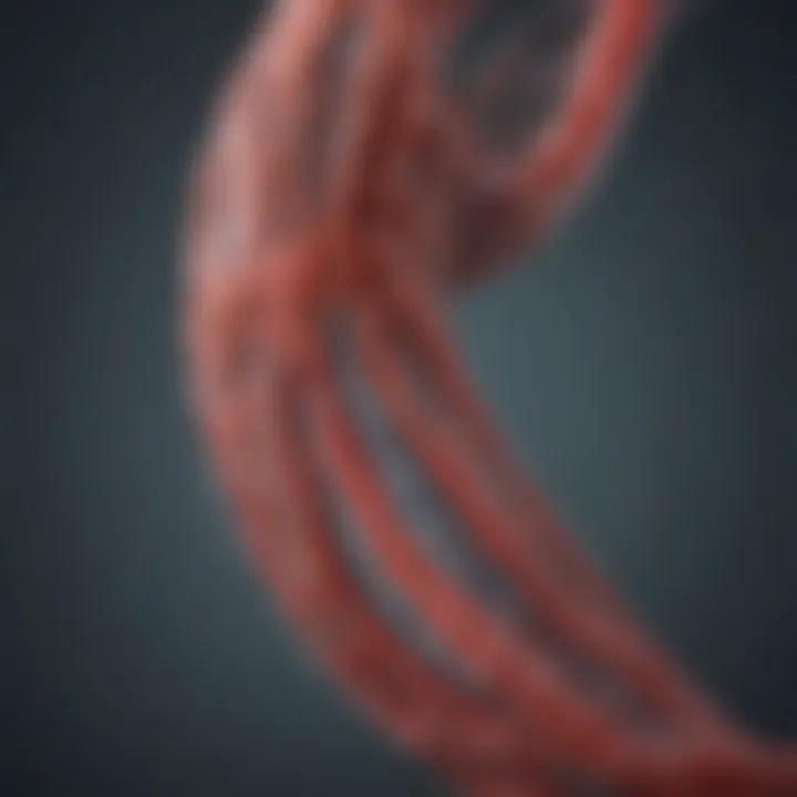 Visual representation of the endovascular coiling technique