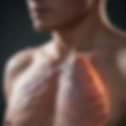 Illustration of lung function in COPD