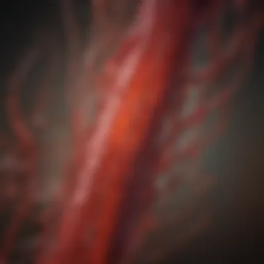 Endotoxin Translocation in the Bloodstream Graphic representation of endotoxins entering the bloodstream