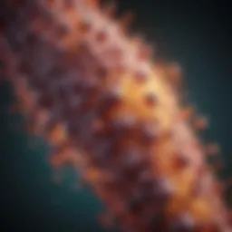 Illustration of hepatitis B surface antibody structure