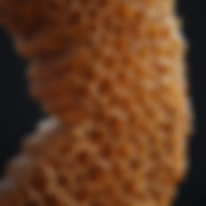 Graph representing therapeutic approaches for honeycomb lung