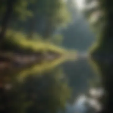 The Essence of Humility in Nature A serene landscape symbolizing inner reflection and modesty
