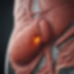 Illustration depicting the liver with abnormal substance infiltration