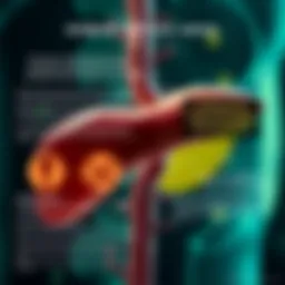 An infographic illustrating the connection between jaundice and liver cancer.