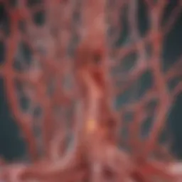 Illustration depicting the physiological roles of albumin in the bloodstream