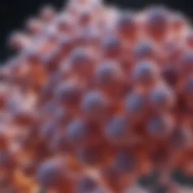 Structure of Immunoglobulin E Illustration depicting the structure of Immunoglobulin E