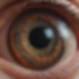 Detailed fundus image showcasing retinal changes associated with macular degeneration
