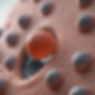 Diagnostic Approaches for Mast Cell Disorders Diagnostic tools for mast cell issues