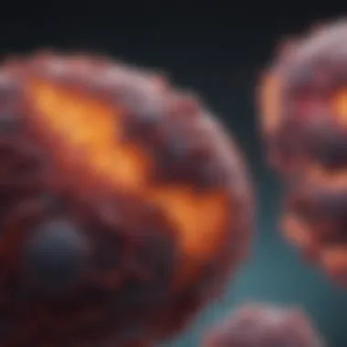 Cellular Interactions in Metastasis Visualization of cellular interactions during the metastatic process