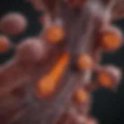 Visual representation of metastatic melanoma progression