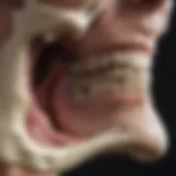 A detailed bone density scan highlighting osteoporosis