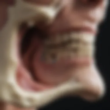 A detailed bone density scan highlighting osteoporosis